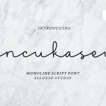 Handcraft Fonts Bundle14